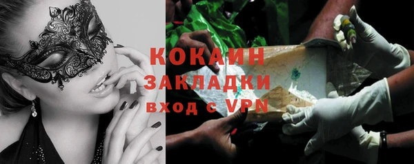 крисы Белокуриха