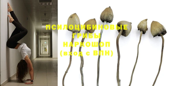 крисы Белокуриха