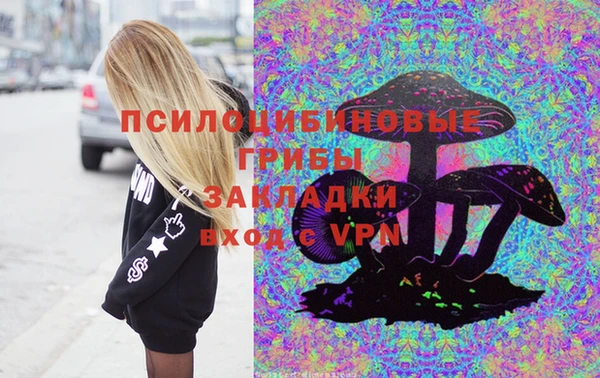 крисы Белокуриха