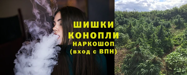 крисы Белокуриха
