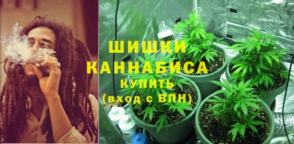 крисы Белокуриха